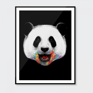 Where is the Rainbow? Seriously where is it, Panda?